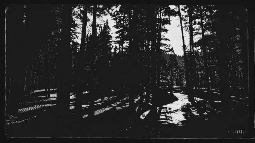 Load video: Noir style video that starts with woods, fades into desert scenes. looping images